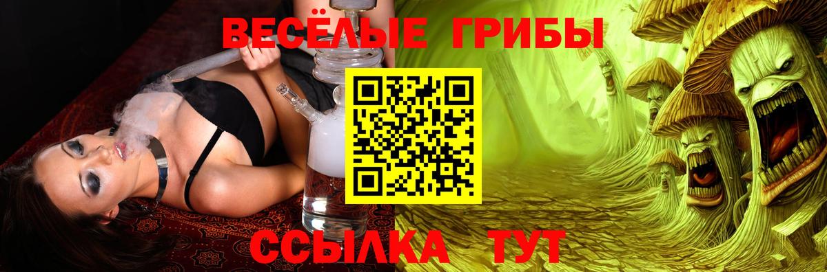 Бахчисарай  Псилоцибиновые грибы MAGIC MUSHROOMS  Вход с VPN 